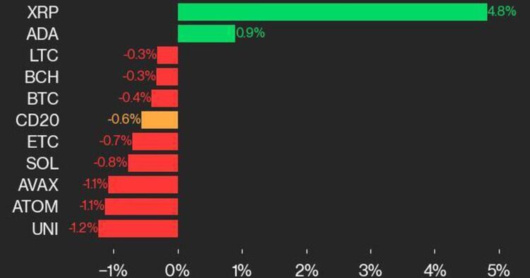 CoinDesk 20 Performance Update: XRP Gains Amid Overall Index Decline