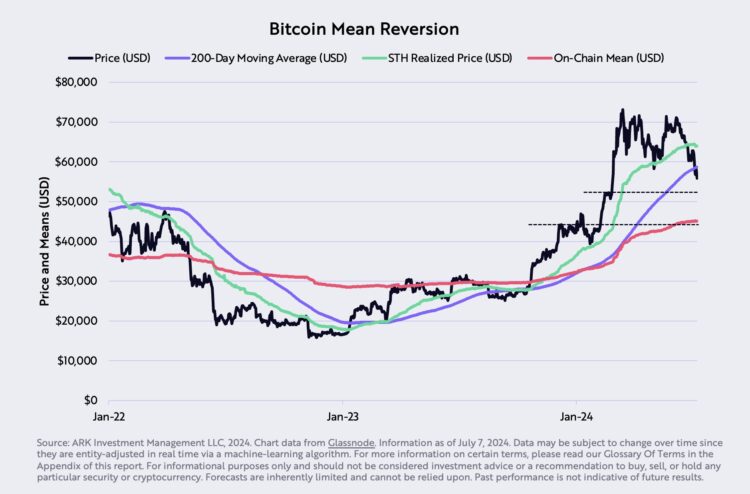 Why They Bet Big On BTC’s Recovery