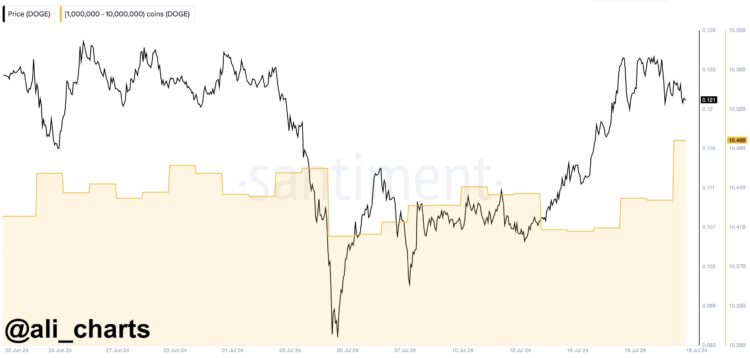 Dogecoin Whales Fill Up Bags As DOGE Price Dips 5%