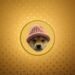 Dogwifhat Price Prediction: WIF Soars 27% As Investors Flock To This P2E DOGE Derivative And Its 86% APY