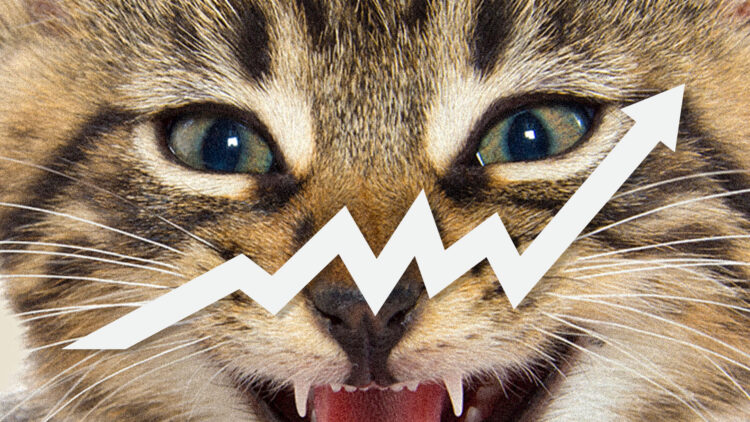 Roaring Kitty Price Prediction: KITTY Soars 26% As Analyst Says Lawsuit Against Keith Gill Is ”Doomed” And This New ICO Rockets Towards $2 Million