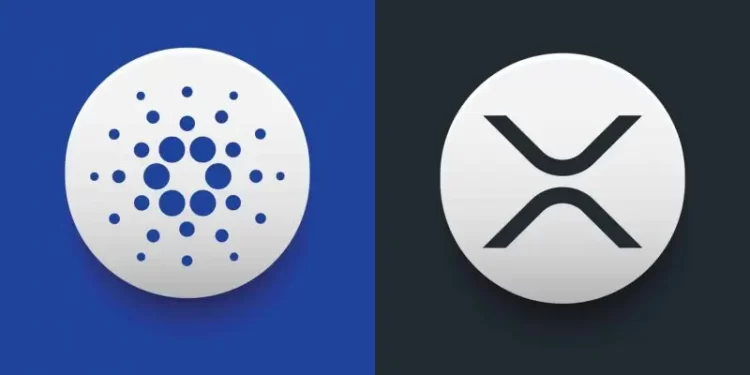 Nothing Other Than Cult Memecoins