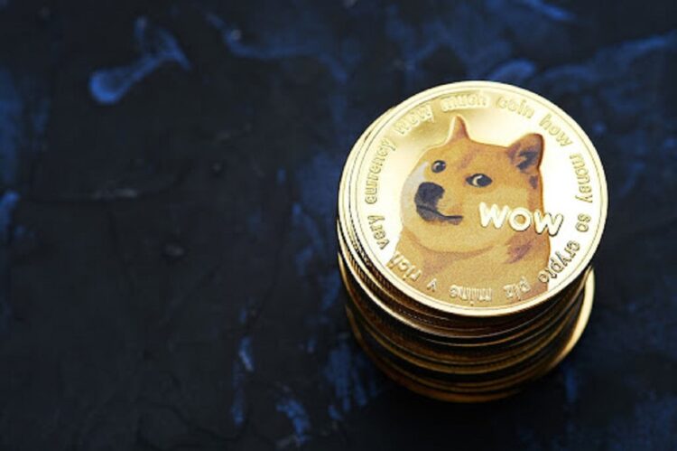 Analysts Predict Major Dogecoin Rally to $0.30: What to Expect