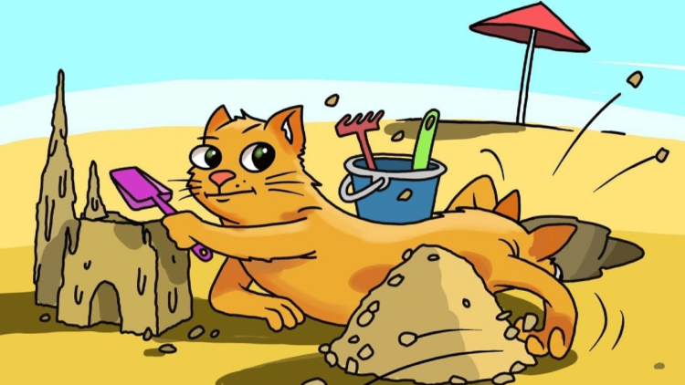 Top Trending Cryptos On Solana Chain Today – CatDog, Ginnan the Cat, TIM WALZ