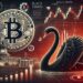 Is Bitcoin Really Safe? New Insights from ‘Black Swan’ Author on Recent Crash