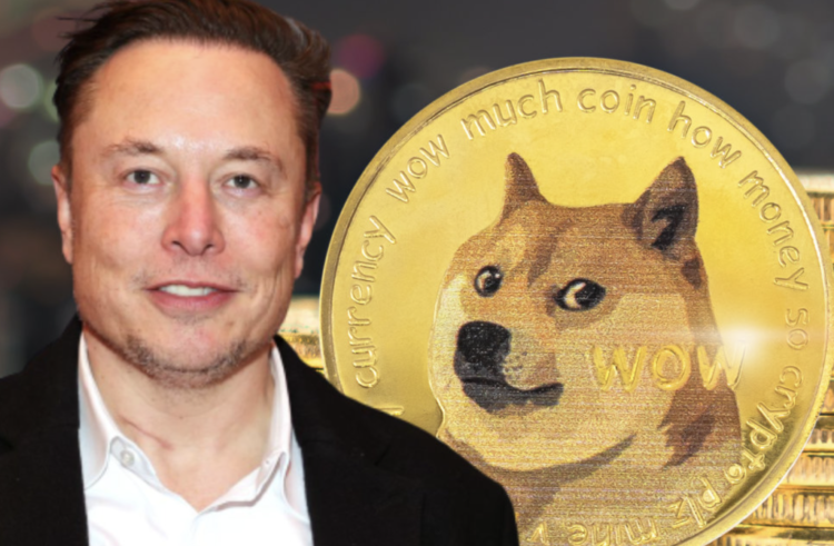 Elon Musk Dogecoin Joke Fails To Ignite DOGE Price Even As Donald Trump Considers Tesla Titan For Public Office