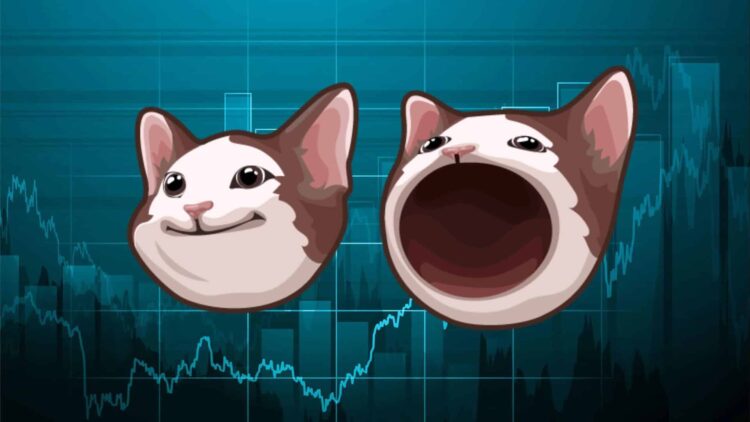 Is It Too Late To Buy POPCAT? Popcat Price Surges 25% And This Might Be The Next Crypto To Explode
