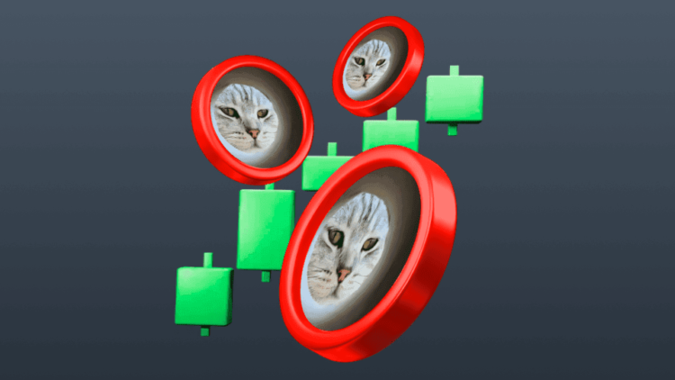 MUNCAT Price Soars 57%, But Investors Are Rushing To Buy This Base Meme Coin Rival Before It’s Too Late