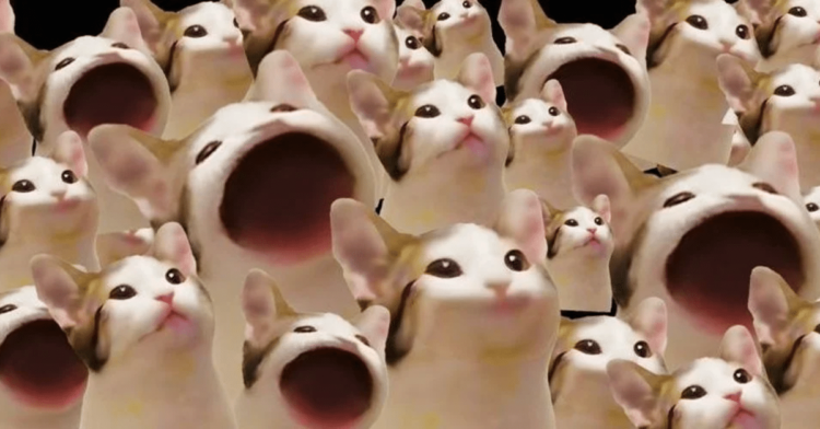 POPCAT Plummets 10%, But Experts Think DAWGZ Could 100X With 6 Days Left to Buy