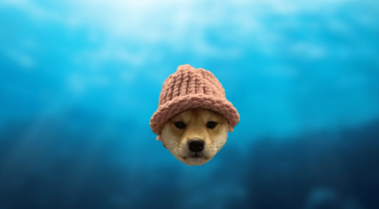 Dogwifhat Price Prediction: WIF Plunges 12% As Investors Rush To Buy This P2E DOGE Before It’s Too Late