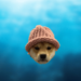 Dogwifhat Price Prediction: WIF Plunges 12% As Investors Rush To Buy This P2E DOGE Before It’s Too Late