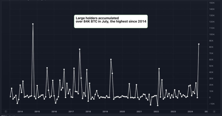 Large Bitcoin (BTC) Holders Added $5.4B in BTC in July, Data Show