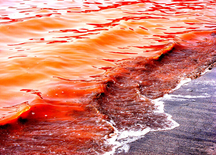 $320 Wiped Out As Bitcoin, Ethereum Nosedive