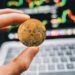 XRP Set To Explode? Top Analyst Predicts $33 Rally