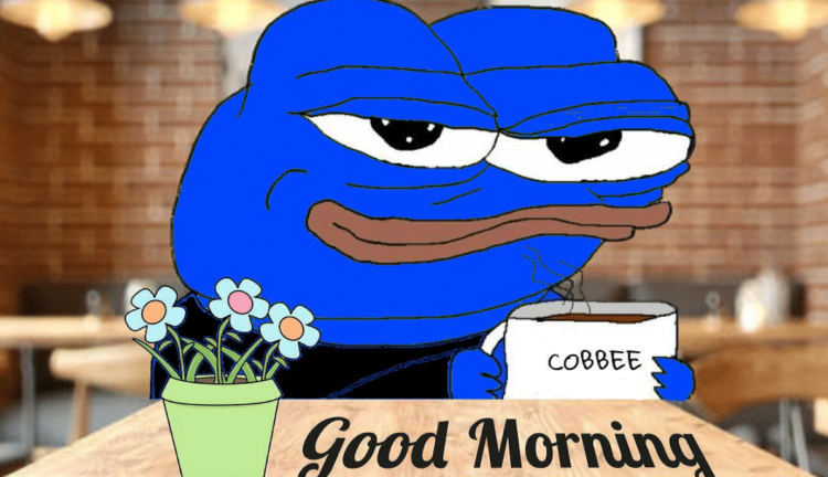 Most Trending Cryptocurrencies On DEXTools Today – Pooku, DuckyDuck, BluePEPE