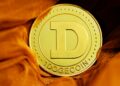 Dogecoin Soars 6.5% After Elon Musk’s Post, Imminent Breakout?