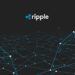 Ripple CTO Clarifies Importance of Clawback in XRP Ledger Accuracy