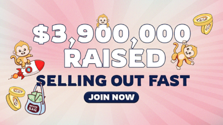 Unveiling MoonBag the Best Crypto Presale in August 2024