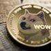 Dogecoin Hits 1.93 Million Transactions, Highest Since July