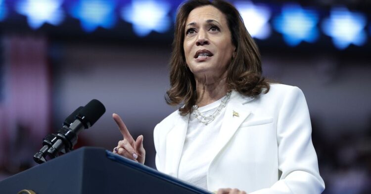 Ripple Co-Founder Chris Larsen Among Kamala Harris’ New Corporate Endorsers