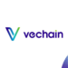 Best Crypto to Buy Now September 20 – VeChain, Altlayer, Quant