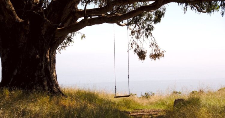 Bitcoin on Track for Record Sideways Action, With Eyes on November Elections as Bullish Catalyst