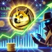 What It Means for DOGE
