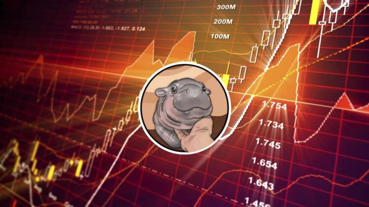 Is It Too Late To Buy MOODENG? Moo Deng Price Surges 115% And This Might Be The Next Crypto To Explode