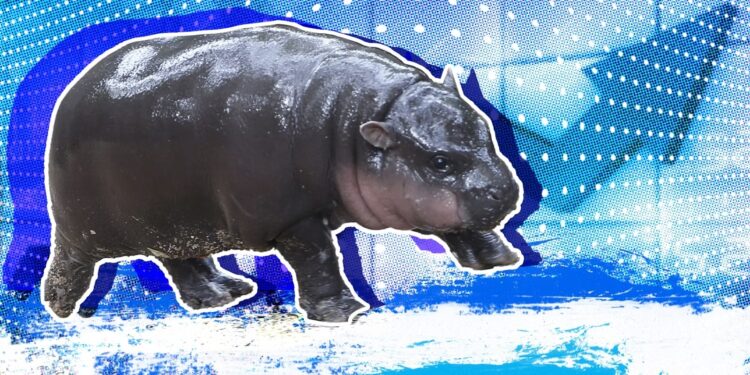 Moo Deng Price Prediction: MOODENG Skyrockets 212% After Binance Futures Listing As Traders Flock To Buy This Staking ICO For 10X Gains