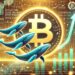 Bitcoin Whales ‘Grew Substantially’ During Last Dip, Data Shows Large-Holder Accumulation