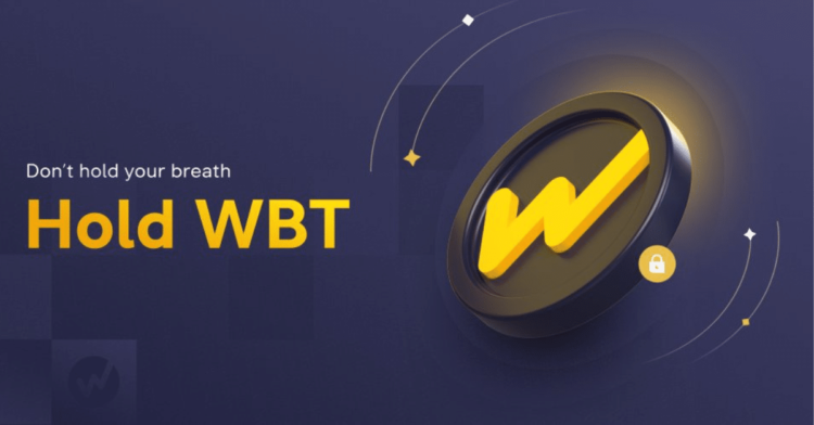 Top Crypto Gainers Today Oct 13 – Mina Protocol, Aave, Ronin, WhiteBit Coin