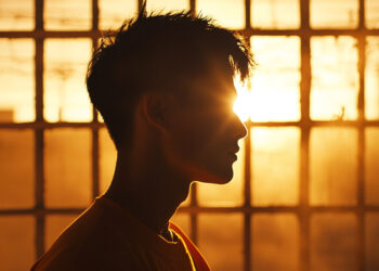 Scammer who stole 4,100 Bitcoin appears in US court charged with wire fraud