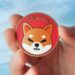 Shiba Inu’s Official Update Sparks Excitement