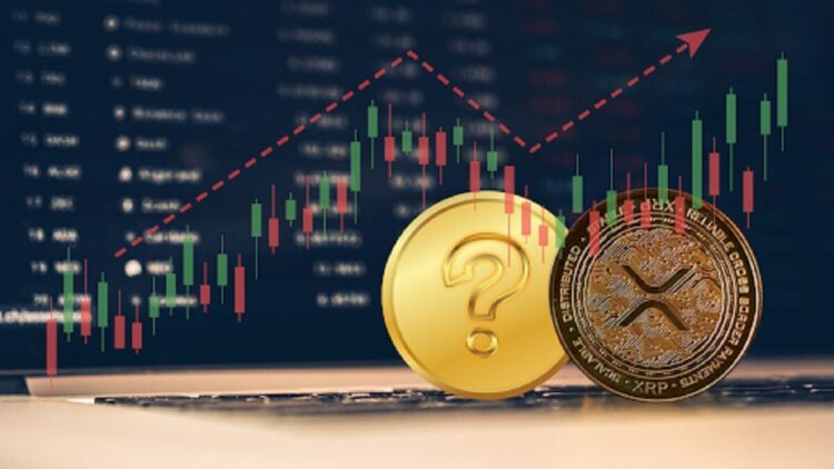 Ripple Whale Decrease Holding Due to SEC Appeal, They Migrate to this $0.03 Alternative