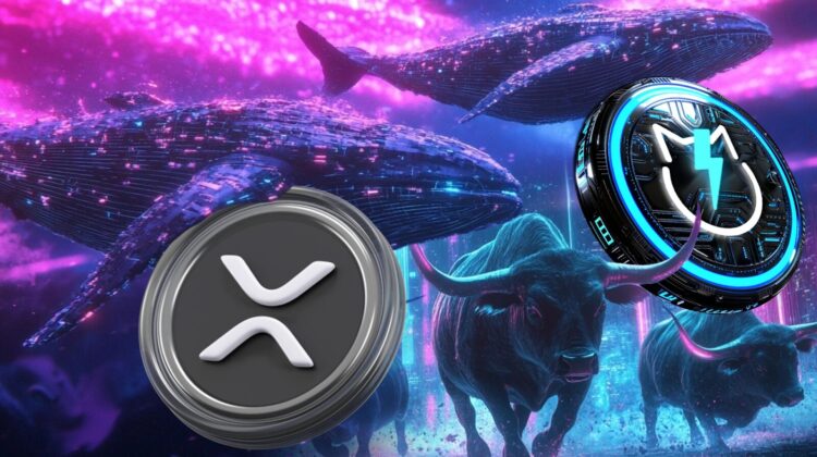 Investor Hope for Huge XRP Surge as Whales Bullish on JetBolt