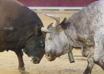 Ether (ETH) ETF Inflows Hit Record, Bitcoin ETF Inflows Soar as BTC Price Eyes $90K