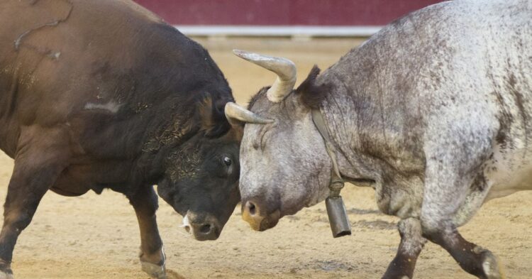 Ether (ETH) ETF Inflows Hit Record, Bitcoin ETF Inflows Soar as BTC Price Eyes $90K