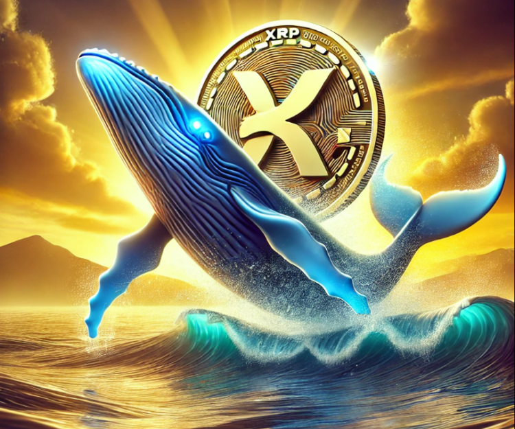 Whale Activity Points To $15 Breakthrough