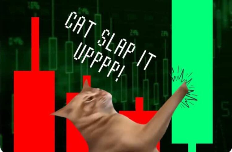 Popcat Plunges 20% As Catslap Surges – Binance Listing Coming?