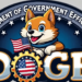 Is It Too Late To Buy DOGE? Department Of Government Efficiency Price Surges 19% As Elon Musk Discusses New DOGE Role