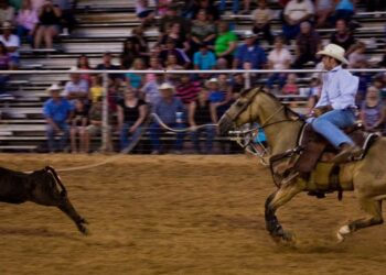 U.S. SEC Loses Crypto Lawsuit Over ‘Dealer’ Definition That Pushed Into Crypto