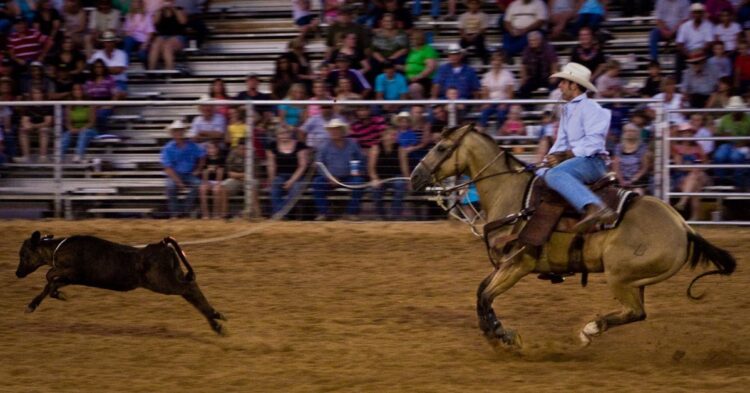 U.S. SEC Loses Crypto Lawsuit Over ‘Dealer’ Definition That Pushed Into Crypto