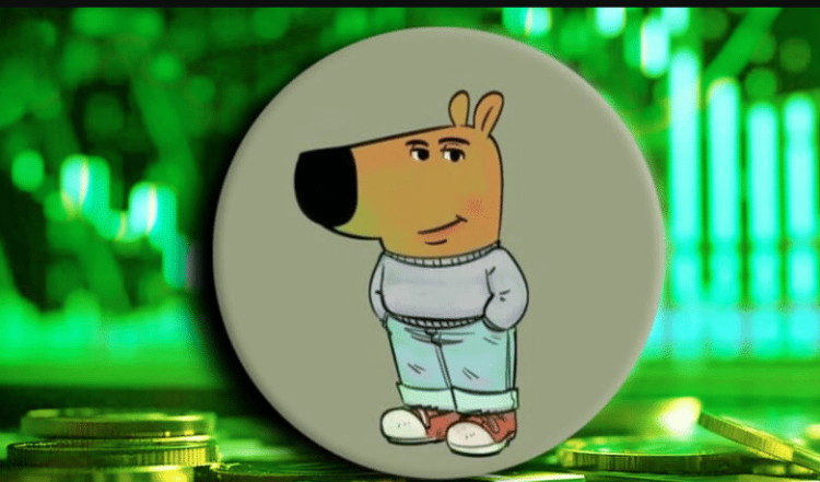 CHILLGUY Goes Ballistic With A 560% Surge As This New Meme Coin Zooms Past $2.4M In Presale