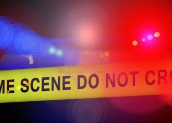 Crypto Influencer Kevin Mirshahi Found Dead in Montreal Park: Report