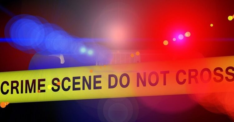 Crypto Influencer Kevin Mirshahi Found Dead in Montreal Park: Report