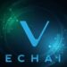 Best Cryptocurrencies to Invest in Right Now November 10 – eCash, VeChain, Hedera