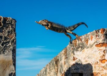 Token Jumps 18% as Bitcoin Traders Target $120,000