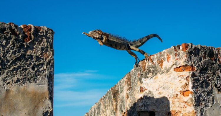 Token Jumps 18% as Bitcoin Traders Target $120,000