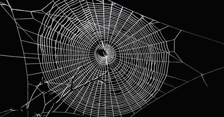 Crypto Lender Aave Seeks Community Comment on Proposal to Expand to Bitcoin Layer 2 Spiderchain