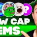 5 Best Low Market Cap Meme Coins to Invest in December 2024